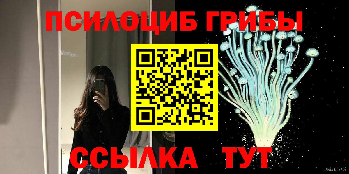 Галлюциногенные грибы прущие грибы Благовещенск