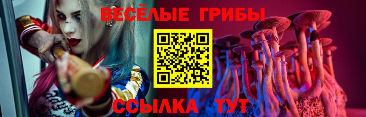 Благовещенск  Псилоцибиновые грибы MAGIC MUSHROOMS  Вход с VPN 